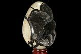 Septarian Dragon Egg Geode - Black Crystals #98889-1